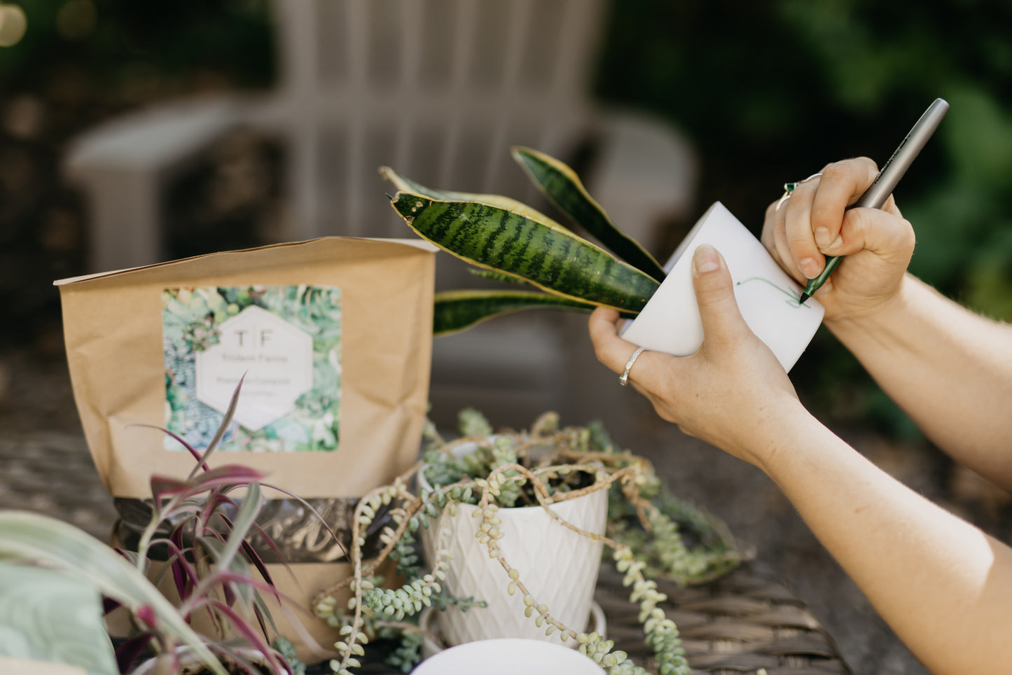 Grow Your Own Herb Kit